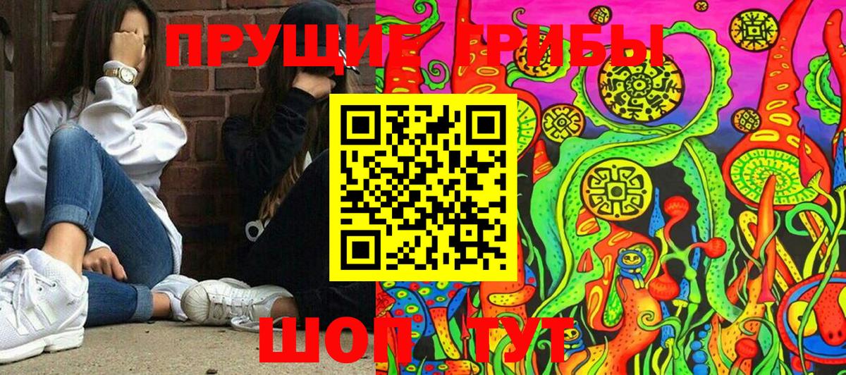 Галлюциногенные грибы мухоморы  Псилоцибиновые грибы прущие грибы  цены наркотик  Красный Сулин  Вход с VPN 